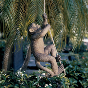 Image Thumbnail for MAKOKOU THE CLIMBING MONKEY